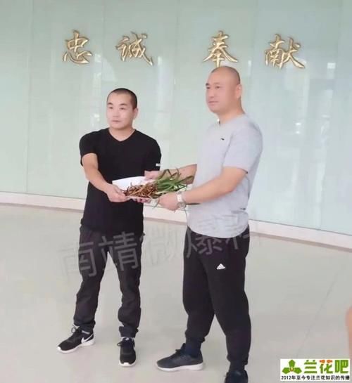  能量|南靖兰花被盗案成功破案，偷兰者被绳之以法，正能量大快人心