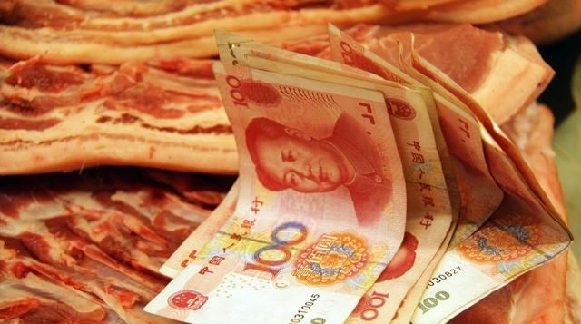  [猪瘟]一会禁止养猪，一会又鼓励养猪！猪瘟不可怕，怕就怕专家