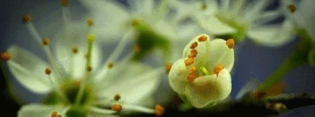 四川省资讯｜城事24H｜四川荣县再发地震，三楼阳台护栏掉落致两