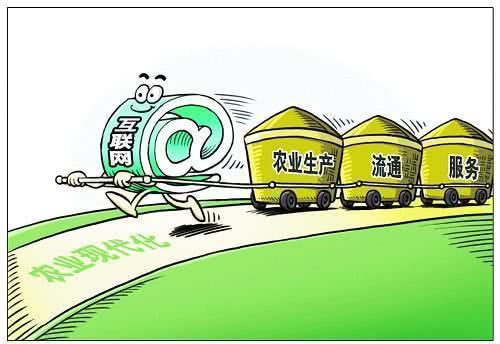  「新兴行业」农村有3个新兴行业，未来或将成为香饽饽，有想法的