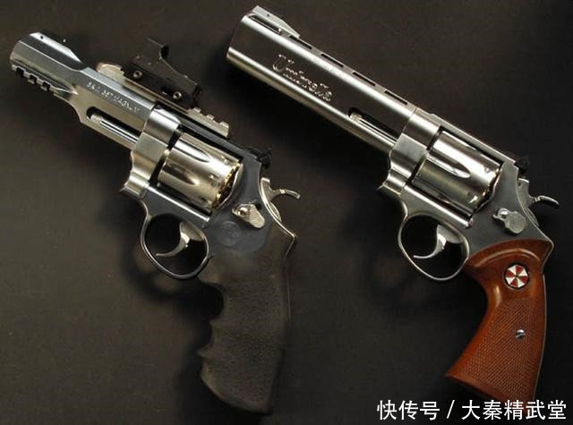 这两把左轮手枪,一把威力最大,一把以蛇命名,该