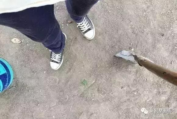 庭院设计|农村大叔手把手教你，一个人挖池塘，小院从此美美的