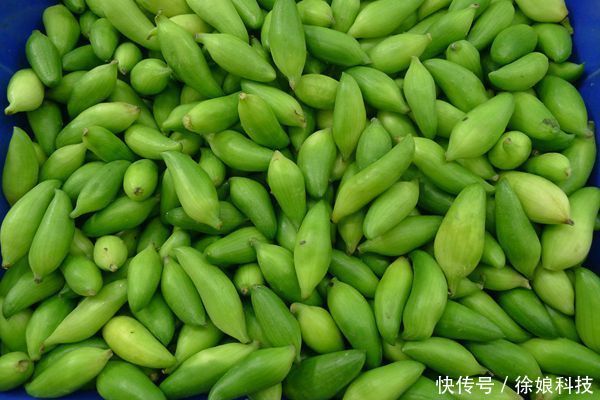  特别■它是野生的，孕妇特别爱吃，如今一斤60元，供不应求，种