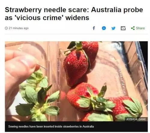 香蕉也发现针头！事态严重升级，疑似有人报复袭击！澳政府悬赏！