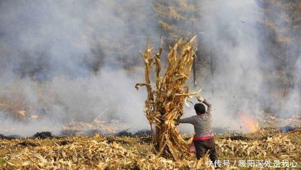  「留意」再过半个月，农村早已被叫停的3件事，又迎来高发期，农