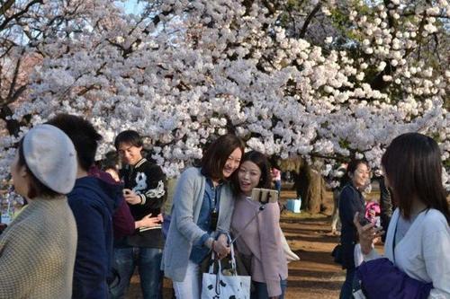 日本人的尴尬中文翻译