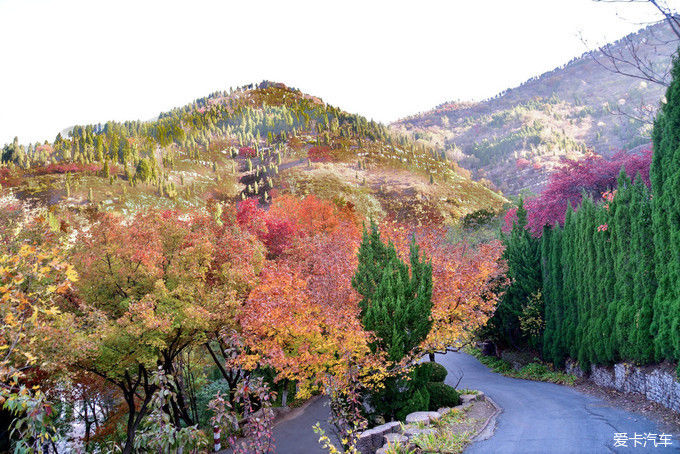 红遍万山的红叶谷【2020热门旅游景点】