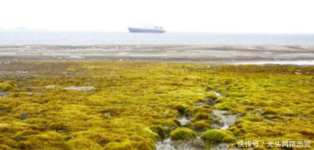 气候类型的分布有规律吗这种气候竟在亚洲、非洲、南极洲都没有