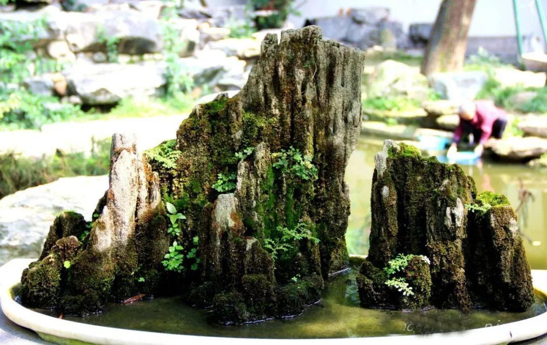 拆开:拆开山水盆景才恍然大悟,原来植物要这样才能固定在山石盆景!