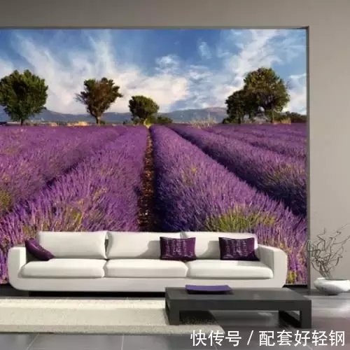 这才是背景墙，你家的只是墙。