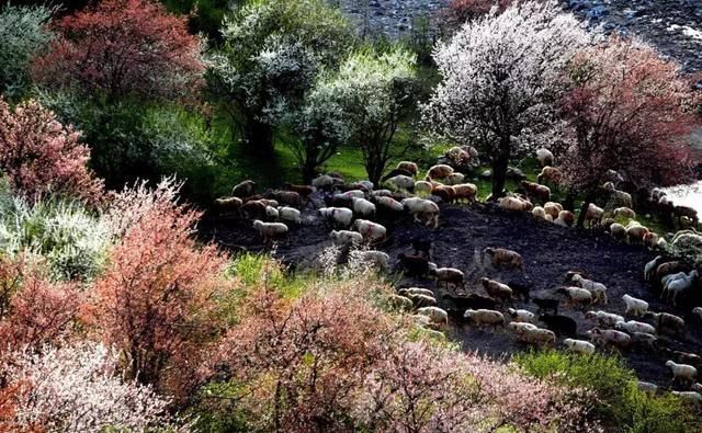 这几个地方景色太美还免费，网友大呼：辞职也要去看看