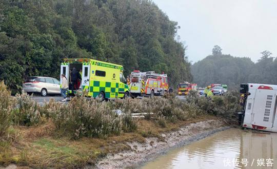 新西兰旅游大巴侧翻致中国游客5死多伤,网友回复:有钱还是国内