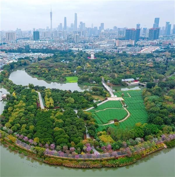  「打造」广州打造南粤“最珠江碧道”近120公里已建成