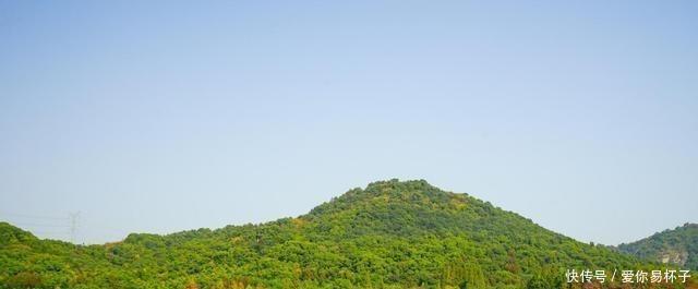 樱花:江南的美当然不分四季,可我却钟爱江南的春天,爱她的恬淡隽永