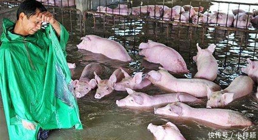 今年过后, 农民不要去这三个地方打工了, 将来它们或将不再存在