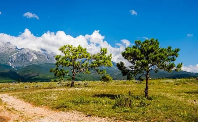 云南最受欢迎的旅游城市，不是昆明，也不是大理！