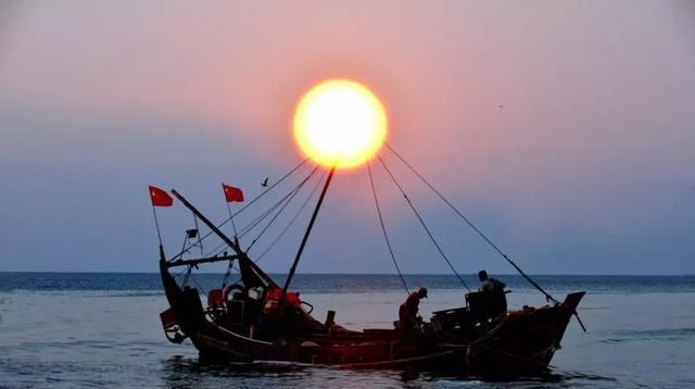 瓦房店这片海域海蜇丰收啦