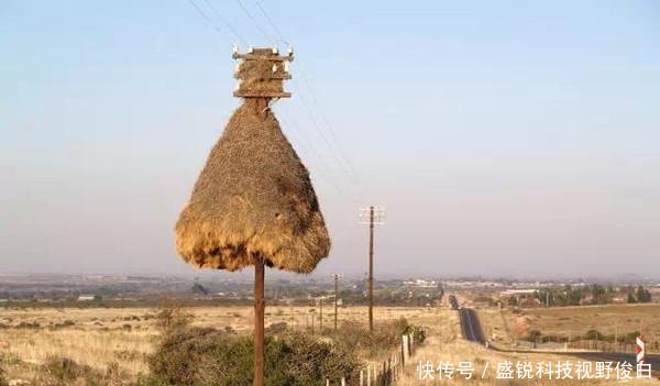 精选一组奇趣图片；北京西山上空出现圆形“航迹云”