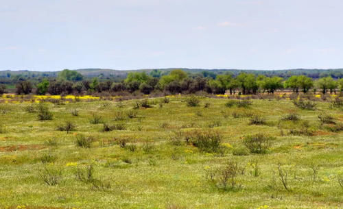 这座俄罗斯美女城，曾是中国边陲重镇，今与我国边境相隔30公里