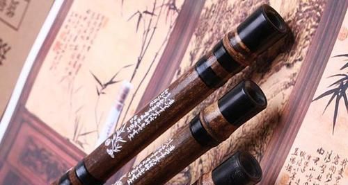  『竹子』罗汉竹、紫竹、雷竹、毛竹都长啥样？