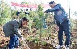  「地上」自家地上种果树好几十年了，为何如今说违法就违法了呢