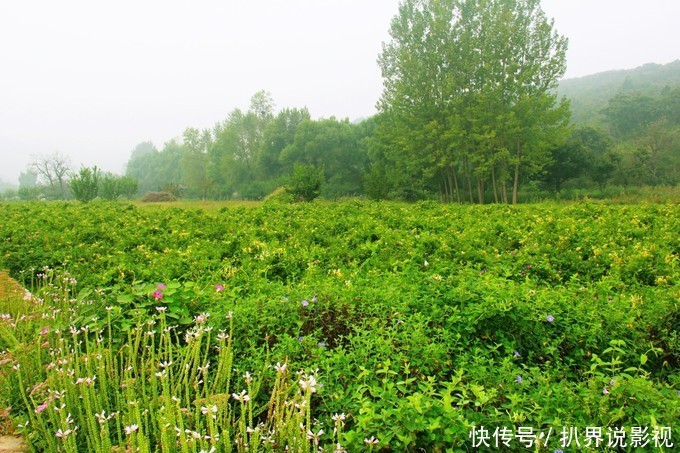 国庆小长假，天津蓟州吃、住、玩首选郭家沟，一起看看秋季美景！