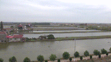  产值@啥养殖新模式？能每亩纯利润近万元，光卖鱼产值就有26万！