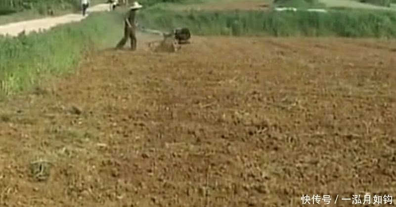 从今年起农村3种情况不能再种地了，不懂的快找人问问