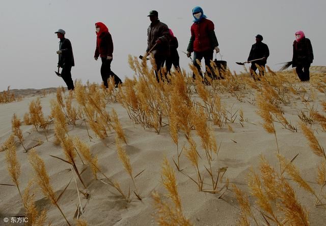 这个被中国“感动”而形成的6000亩湖泊，正在助力治沙，效果显著