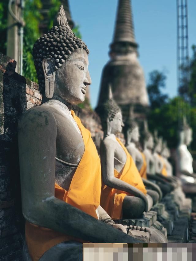 世界上最大道场，建于沼泽之上，供奉百万尊佛像