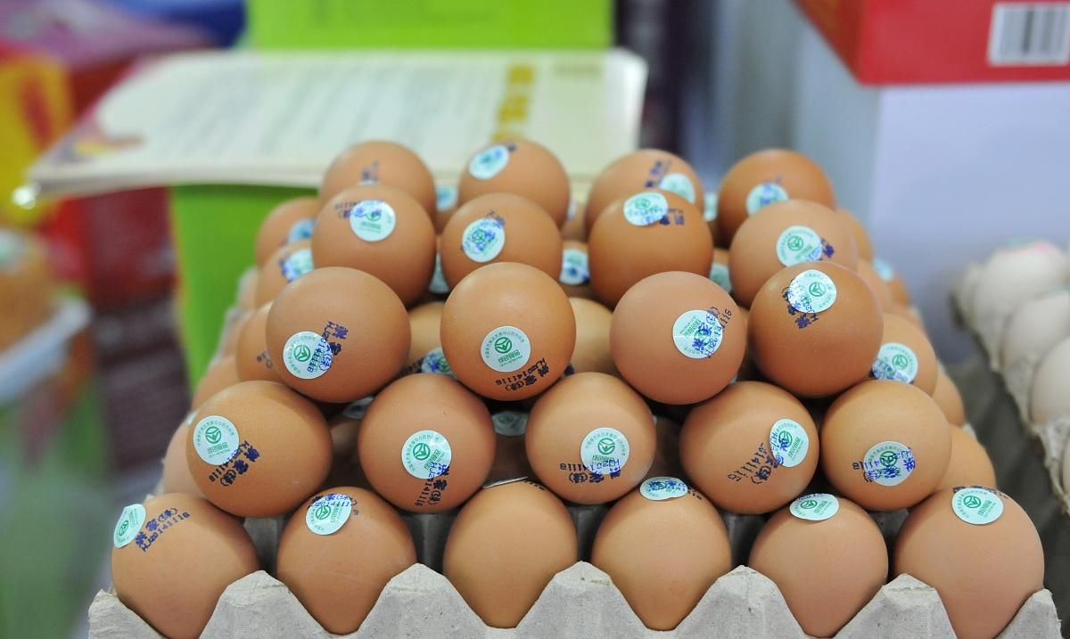  『食物』胆结石的人不能吃鸡蛋？其实不能吃的是“它”