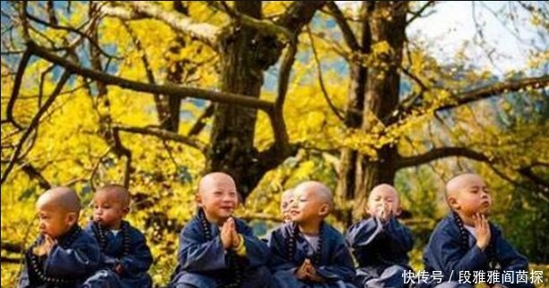 贵州最“可爱”的寺庙,隐藏在大山深处,被游客称为现实版乌龙院