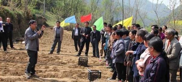  种植@去年9毛一斤不愿意种，如今卖7000元一吨，农民：今年种太