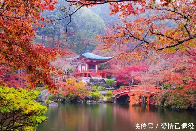 世界上最奇葩的国家人口仅有1.26亿,卫生纸消耗量却排在首位