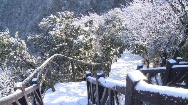 张家界天门山迎今冬首雪 瑞雪、雾凇、云海三景交融