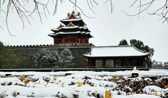 9张照片告诉你雪后的故宫和景山有多美!