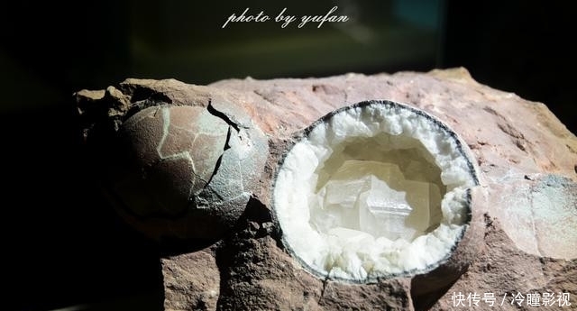  #恐龙蛋化石#世界上恐龙蛋最多的地方竟然就在广东，密密麻麻，