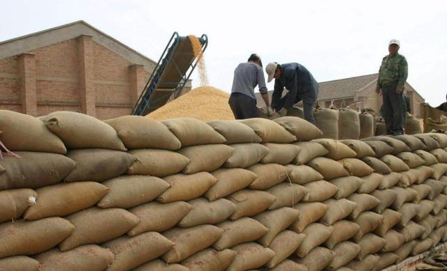  [养老金]交过公粮的农民，每人可领8万补贴，每月还有400养老金