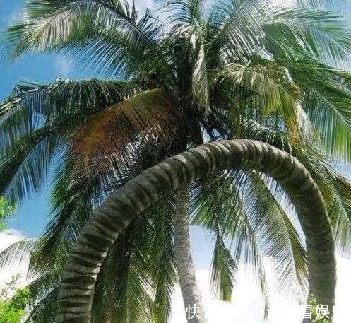 让人感到震惊的28张照片, 都不是P的