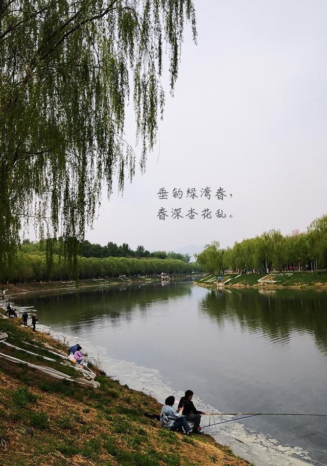 那种■垂钓绿湾春，春深杏花乱。垂钓吗？风景优美的那种！走，钓鱼去喽