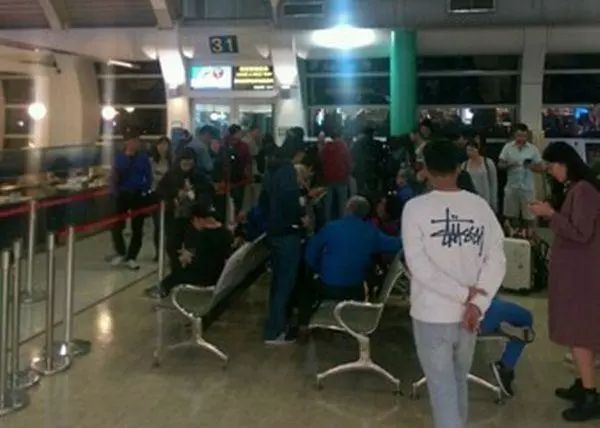 台湾飞日本客机疑遭鸟击 海上盘旋4圈后紧急降落