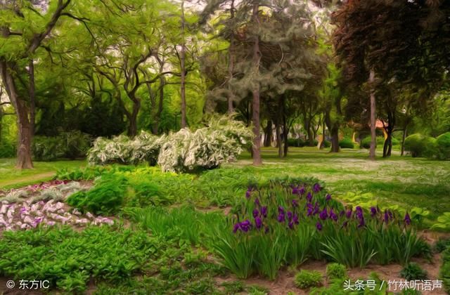 遇见秋，犹如故人归，愿时光多一些明媚，岁月静好，你亦无恙！