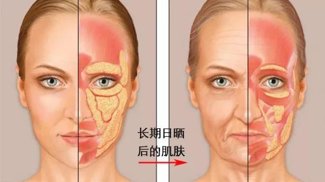 古力娜扎带火的娜丽丝要停产了?这款防晒喷雾明明更好用!