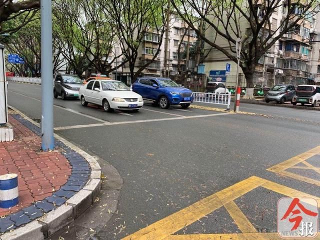 两条线@红绿灯下两条线,网友问,应该怎么过?