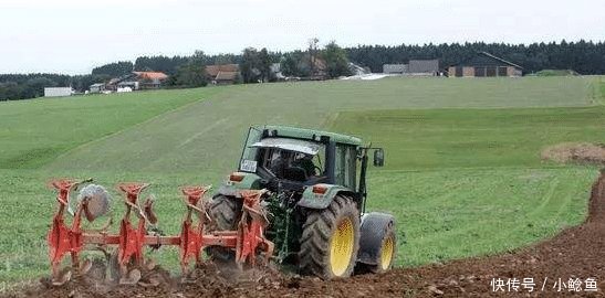 农村这项补贴发了, 每亩补500~1300元, 直接打卡, 不种地也能领!