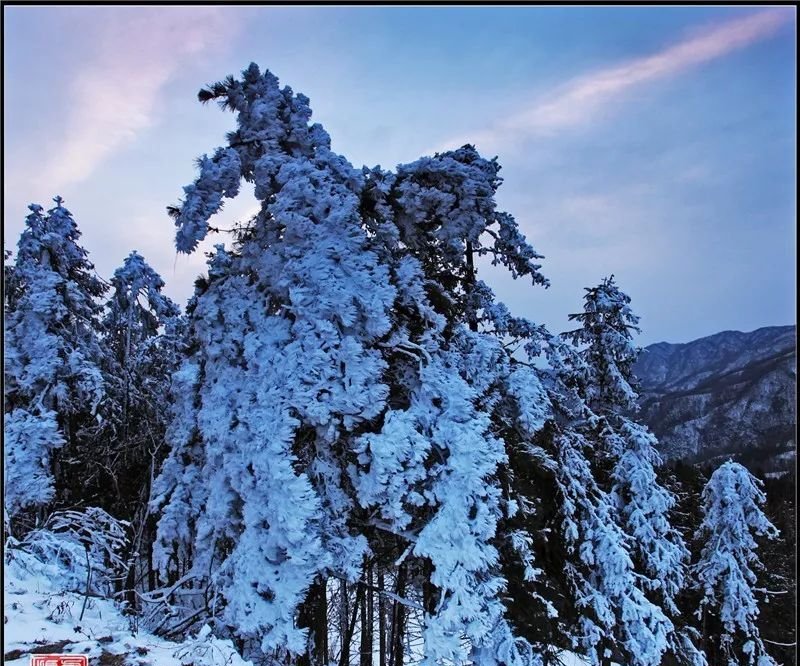 昨天下午！金寨山里面竟然拍到了一组雪山奇观，真让人震撼！