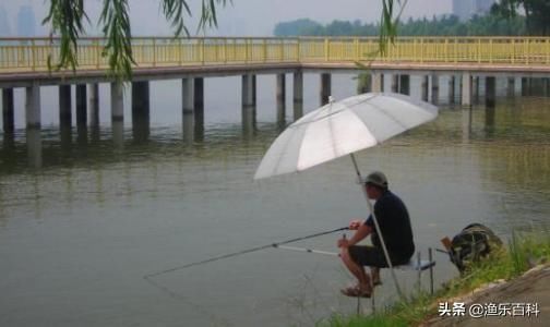 别怕夏季钓鱼不知道钓深还是钓浅，明白这两点后就能很好的判断！