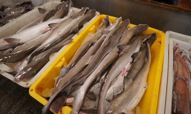 自驾走过广西广东海南，来到福建霞浦三沙，带你看看渔村海鲜价格