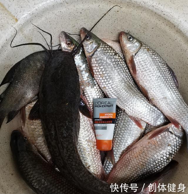 鱼类资源@换个角度看钓获放流,鱼获你敢吃吗