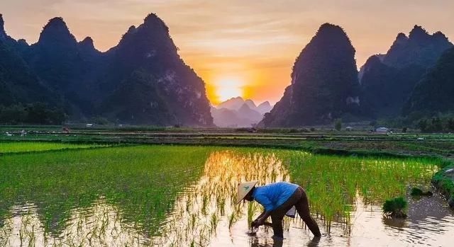 未来农村，最珍贵的不是车子、房子，而是这5样东西，你们村有吗